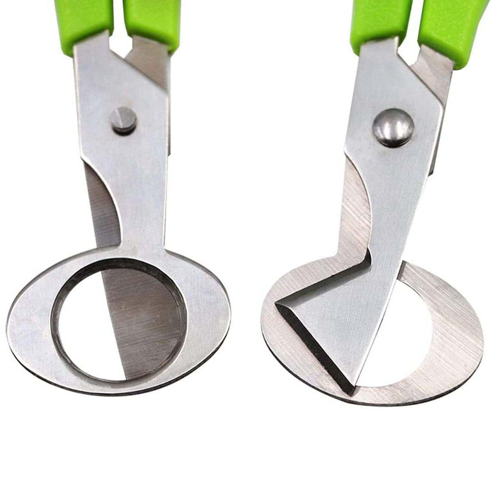 3Pcs Quail Egg Cutter Scissors - Kitchen Shears In Baking recensie en prijs