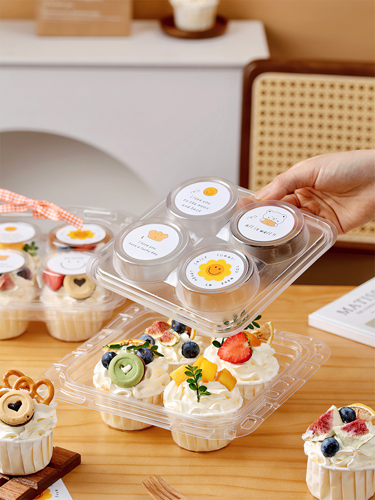 Handheld Cupcake Packaging Box - Kitchen With Baking Area recensie en prijs