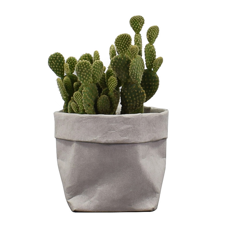 Recycle Paper Bag washable sto - Kitchen Living Baking Mats recensie en prijs